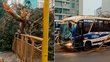 Jesús María: Bus de la línea 91 se despista e impacta contra paradero en la avenida Brasil