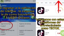 Link Flow: revelan el sistema operativo que aplicaban para captar víctimas con miles de soles