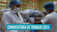 ¿Eres bachiller o titulado?  Qali Warma ofrece puestos de trabajo con sueldos de hasta S/10.000: requisitos y LINK para postular