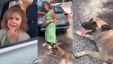 Mujer arrastra a un perro amarrado en su camioneta: "No lo puedo subir, tengo una cita"