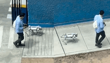 Perro robot es captado en calles de Perú siendo paseado por su amo: ¿Cuánto es su valor actual?