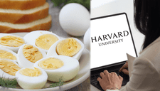 ¿Cuántos huevos puedo comer al día? Harvard aclara la duda sobre si hay posibles riesgos en la salud