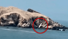 Caída de avioneta en San Bartolo deja un herido: video registró el momento del accidente