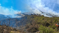 Incendio forestal en Piura: Un adulto mayor perdió la vida en la provincia de Morropón