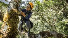 National Geographic revela el mundo oculto de los osos andinos