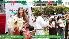 "Navidad sin Hambre para los Vaguitos" ayuda a los animales necesitados