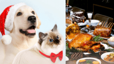 Mascotas en Navidad: alimentos PROHIBIDOS durante las festividades