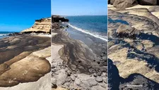 Derrame de petróleo en Piura: playas paradisiacas de Talara son contaminadas y hay animales muertos