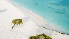 Aruba ES ELEGIDO como el mejor destino del Caribe en los Travelers' Choice de Tripadvisor 2025