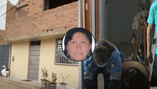 Asesinan a madre dentro de su vivienda por DEFENDER a su hija en Virú: delincuentes habrían intentado agredirla