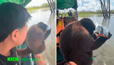 Joven visita la selva peruana y encuentra a monito glotón comiendo sus cuates: "Le falta su Cifrut"