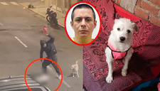 Hombre MATA A GOLPES a perrito en Trujillo solo por cruzarse en su camino: el video muestra el CRUEL ataque