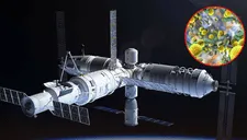 Confirmado | Hallan superbacteria en el espacio y científicos temen traerla a la Tierra