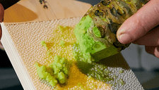 wasabi