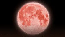 Calendario lunar de junio: conoce cuándo saldrá la luna llena y cómo ver todas las fases lunares durante este mes