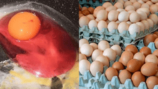 Ordenan el retiro urgente de esta popular marca de huevos por peligroso componente que podría en jaque tu salud