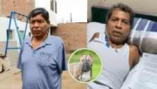 Peruano queda en coma y sin brazos tras ser atacado por 3 pitbulls: dueños no responden