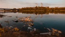 Científicos alertan: los ríos del mundo corren peligro de desaparecer y ser contaminados a causa del mercurio