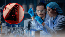 Un logro para la medicina regenerativa: científicos logran la creación de vasos sanguíneos con inteligencia artificial