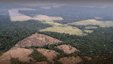 Alerta ambiental: Amazonía peruana pierde bosques que equivalen a 11 veces el tamaño de Lima, según FCDS Perú