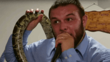 Pastor se deja morder por serpiente delante de sus fieles como prueba de fe pero fallece días después
