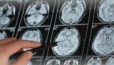 Científicos de Londres identifican la señal cerebral que ayuda a entender nuestro entorno.