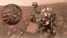 Curiosity cumple 13 años de exploración en Marte: la NASA celebra con hallazgo inesperado