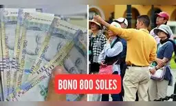 Conoce todo sobre la entrega de este nuevo bono de 800 soles.
