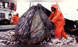 APEC destina US$ 1.7 millones para impulsar 14 proyectos en preparación a APEC Perú 2024