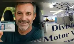 Infórmate sobre las sedes del DMV en Florida. Infórmate sobre las sedes del DMV en Florida.