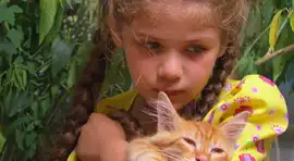 ¿Cuántos capítulos tiene Elif en la primera temporada?