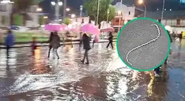 Alerta sanitaria | Extraña enfermedad avanza en PERÚ tras intensas lluvias y Minsa advierte a ciudadanos: muertos y casi 100 casos