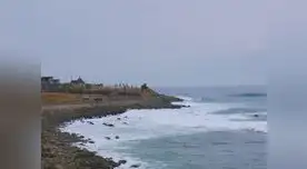 PNP, Bomberos y Marina concluyeron rescate de auto y su conductor que cayeron a acantilado en Santa Rosa, Ancón