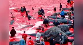 Aducen que son por fines científicos. 