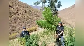 Los representantes del ministerio público auxiliados por la PNP.