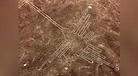 Lineas de Nasca serán restauradas tras incursión de Greenpeace pero no volverán a ser las mismas.