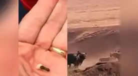 Extraen diente con palo de golf y búfalo defiende a cría.