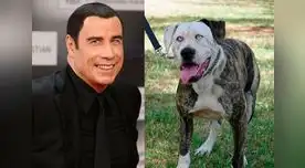 Travolta y perrito tienen un parecido. 