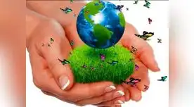 (Fuente: plataforma.edu) (Fuente: plataforma.edu)