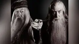 ¿Famosos magos deciden unir sus vidas?