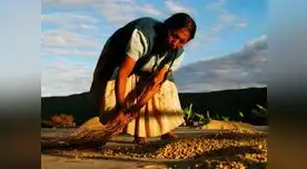 Cada 24 de junio se celebra el Día del Campesino en Perú. Conoce aquí de qué se trata esta emblemática fecha, que data de la época incaica.