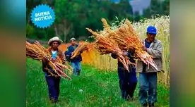 Perú es potencia en este rubro Perú es potencia en este rubro