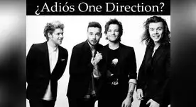 ¿One Direction se separa para siempre? ¿One Direction se separa para siempre?