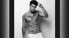 Zayn Malik se retiró hace seis meses de One Direction. Zayn Malik se retiró hace seis meses de One Direction.