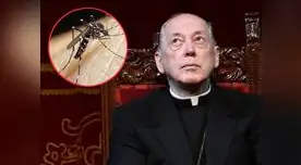 Cardenal calificó de 'burros' a la organización mundial. Cardenal calificó de 'burros' a la organización mundial.