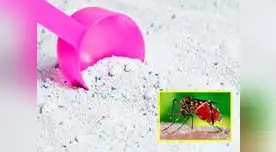Chileno logró crear un detergente capaz de evitar el zika. Chileno logró crear un detergente capaz de evitar el zika.