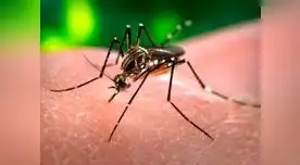 Este es el cuarto caso importado que se registra en Perú Este es el cuarto caso importado que se registra en Perú