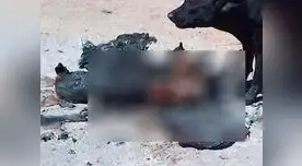 Dr. Vet, indignado por caso de perro calcinado. 