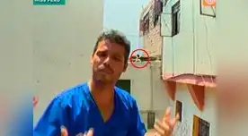 El hijo del presunto agresor intentó sacar al pobre animal