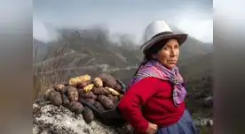 Día del Campesino
